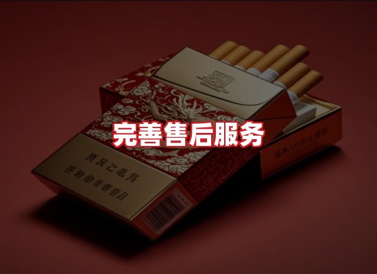 专业团队